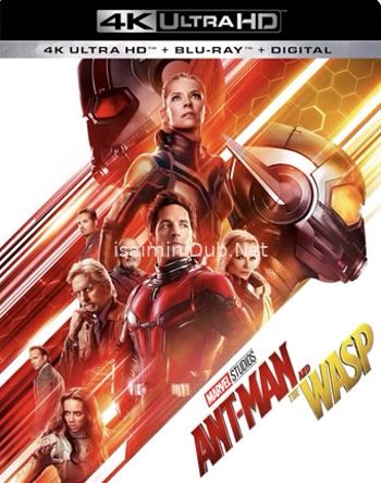 Ant-Man and the Wasp (2018) Movie Poster