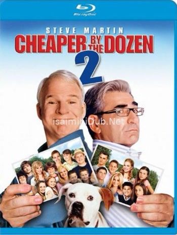 Cheaper by the Dozen 2 (2005) Movie Poster