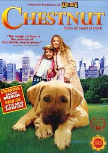 Chestnut Hero of Central Park (2004) Movie Poster