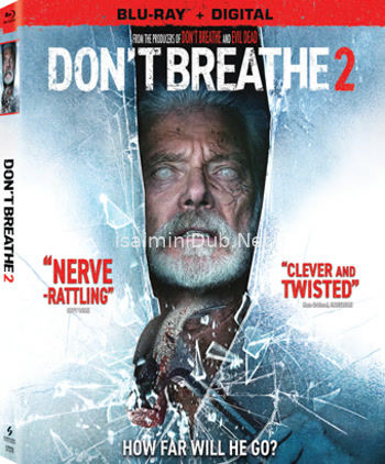 Dont Breathe 2 (2021) Movie Poster