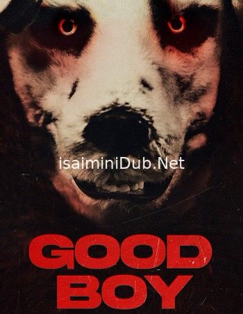 Good Boy (2022) Movie Poster