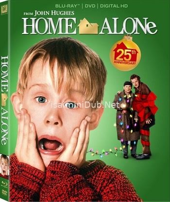 Home Alone 1 (1990) Movie Poster