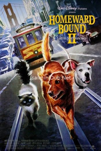 Homeward Bound 2 Lost In San Francisco (1996) Movie Poster