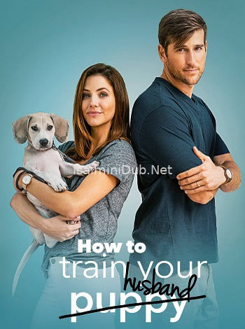 How To Train your Husband (2017) Movie Poster