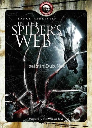 In the Spider Web (2007) Movie Poster