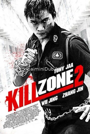 Kill Zone 2 (2015) Movie Poster