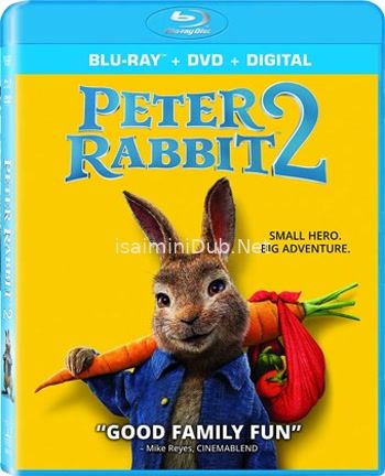 Peter Rabbit 2 The Runaway (2021) Movie Poster