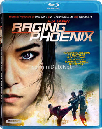 Raging Phoenix (2009) Movie Poster