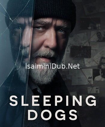 Sleeping Dogs (2024) Movie Poster