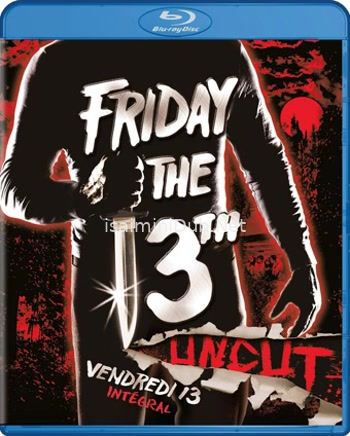 The 13th Friday (2017) Movie Poster