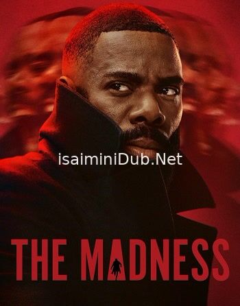 The Madness (2024) Movie Poster