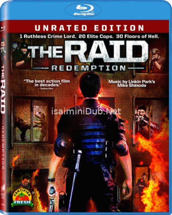 The Raid Redemption (2011) Movie Poster